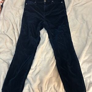 Well Worn Navy Velvet Pants